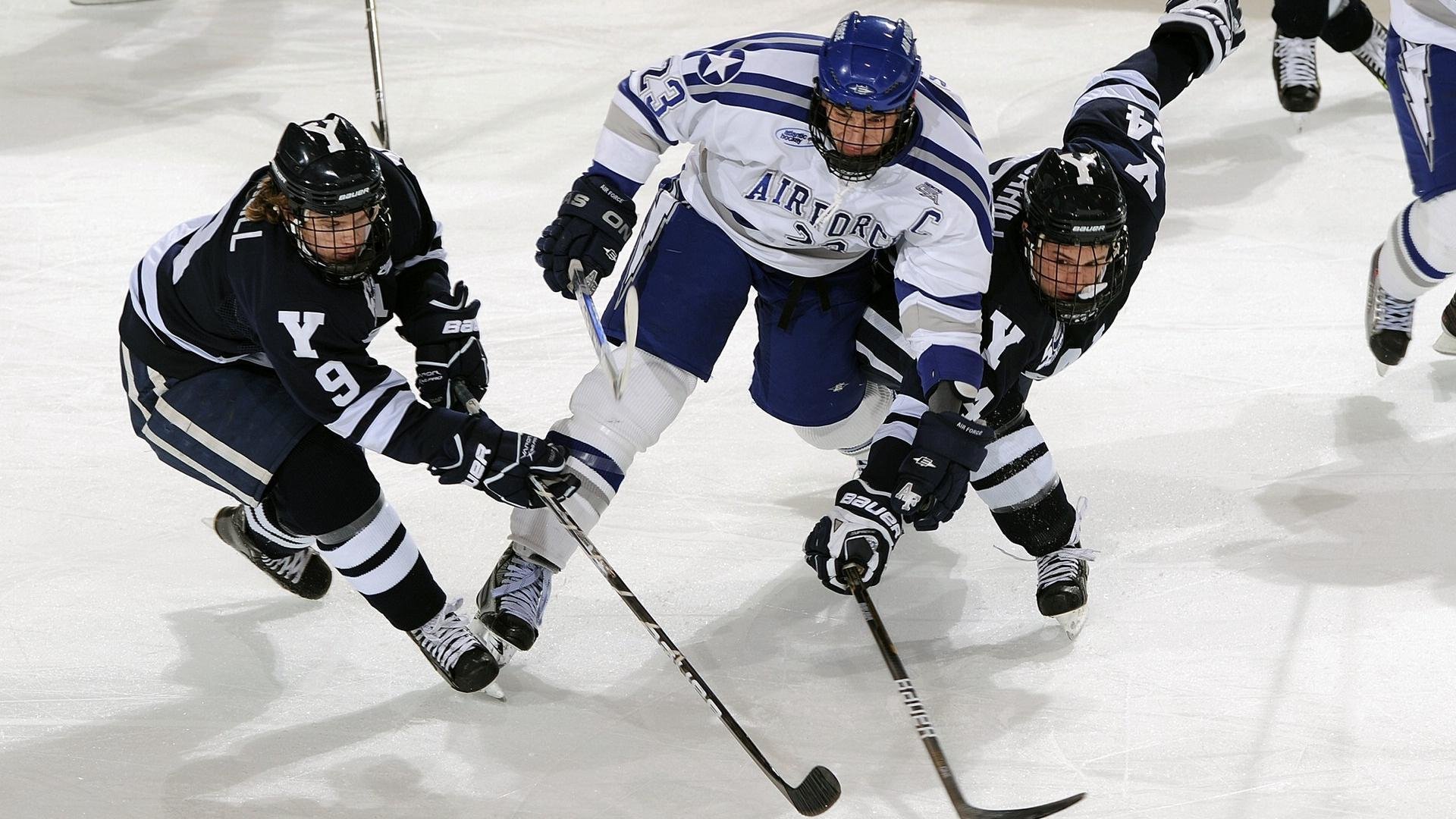 开云官方网站-体育新闻中心协办高校体育新闻实验室建设项目，体育学院新闻稿